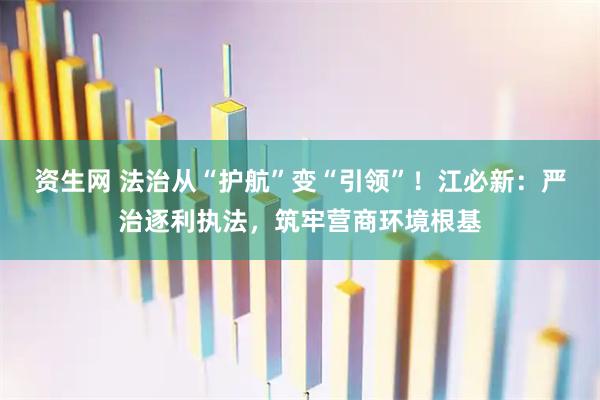 资生网 法治从“护航”变“引领”！江必新：严治逐利执法，筑牢营商环境根基