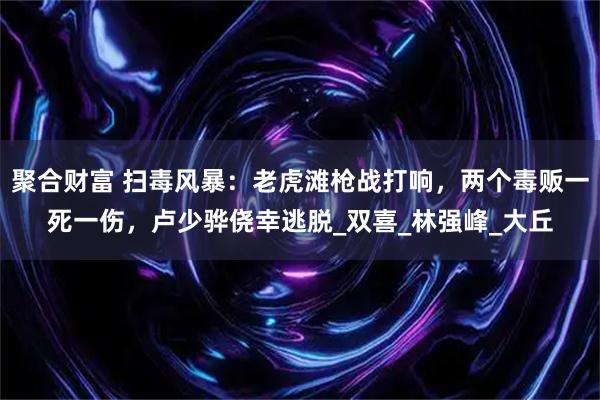 聚合财富 扫毒风暴：老虎滩枪战打响，两个毒贩一死一伤，卢少骅侥幸逃脱_双喜_林强峰_大丘